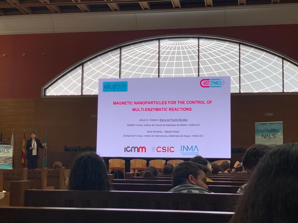 Beatriz Torres and Puerto Morales from ICMM/CSIC presented results from HOTZYMES at the 3rd International Conference on Nanomaterials Applied to Life Sciences 2022 (NALS 2022) …